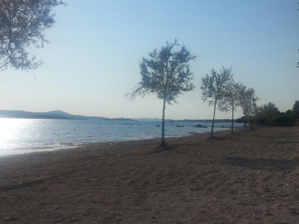 Family Apartment B&B Biograd Na Moru Zewnętrze zdjęcie